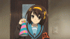 Celebration Haruhi Suzumia.gif