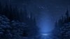 27296-road-stars-night-fox-forest-trees-anime.jpg