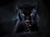 black_panther_by_superman8193-d5cec61.jpg