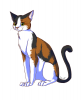 Calico_Cat_by_SupahJacki (1).png