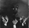 140511-Creepy-Black-Cat.jpg