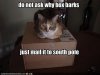 funny-pictures-cat-wants-you-to-mail-dog-to-south-pole.jpg