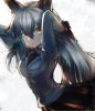 Silver.Fox.(Kemono.Friends).full.2080565.jpg