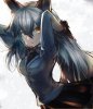 Silver.Fox.(Kemono.Friends).240.2080565.jpg