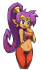 Pirate's_Curse_Shantae_Portrait.png