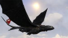 Toothless Flying.png