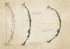 alien_bow_concept_by_adamnicholson-d4klg0a.jpg