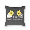 22c06306e6845443dc84af7e7a68f81e--funny-throw-pillows-throw-pillow-covers.jpg