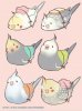 8ff468ec973138ef2a01be914a7aef51--cute-birds-drawing-bird-drawings.jpg