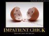 impatient-chick-best-demotivational-posters.jpg