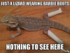 lizard7.png