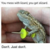 lizard11.png