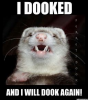 ferret1.png