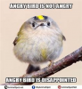 birb1.png