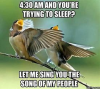 birb2.png