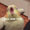 birb7.png