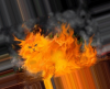 cat dumpster fire.png