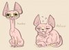 sphynx_neck_stages_by_nightmarehound-d7glrhf.jpg