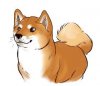 shiba inu.jpg