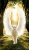 lioness_of_light_by_graphiteforlunch-d5w07ix.png.jpeg