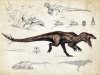 _tissoplastic_giganotosaurus__by_tapwing-db1au8y.jpg