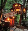 Wonderful Tree house..!!! Would you like to stay...jpg