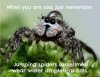 cute spider.jpg