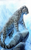 (Lunar) Korigard snow leopard spirit shape altered small.png