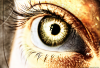 gold_eye_by_setaxdesign-d4jol6c.png