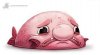 Blobfish.jpg