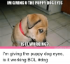 imgiving-u-the-puppy-dog-eyes-isit-working-im-giving-23641624.png