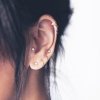 15-cool-girl-ear-piercings-we-discovered-on-pinterest-1678189-1456776554.700x0c.jpg