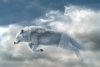 white-wolf-in-the-sky.jpg