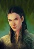 male_elf_by_emmil-d3hky5g.jpg