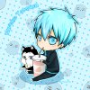 Chibi-Kuroko-kuroko-tetsuya-31851317-800-800.jpg