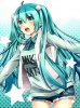 Miku-hatsune-miku-32141090-500-667.jpg