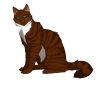 hawkfrost_by_lithestep-d3k6gve (1).png