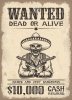 47113989-vitage-wild-west-wanted-poster-with-old-paper-texture-backgroung-Stock-Photo.jpg