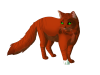 squirrelflight_fanart_by_wolflove1998-d883gn2.png