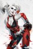 harley_quinn_by_squirrelshaver-d65ylq9.jpg