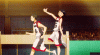 knb 4.gif