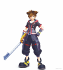 sora.png