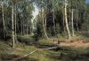 In The Birch Tree Forest, 1883.jpg