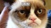 grumpy-cat-no-2.jpg