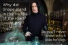 snape-memes-80251212bf5eab310f27d55fbf9e0bc2.jpg