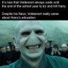 Voldemort-school-concerns.jpg