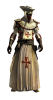 Templar plauge doctor.png