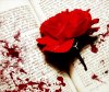 Red-rose-with-blood-stains-on-book.jpg