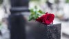 Grave Rose.jpg