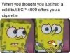 The best scp memes :) Memedroid